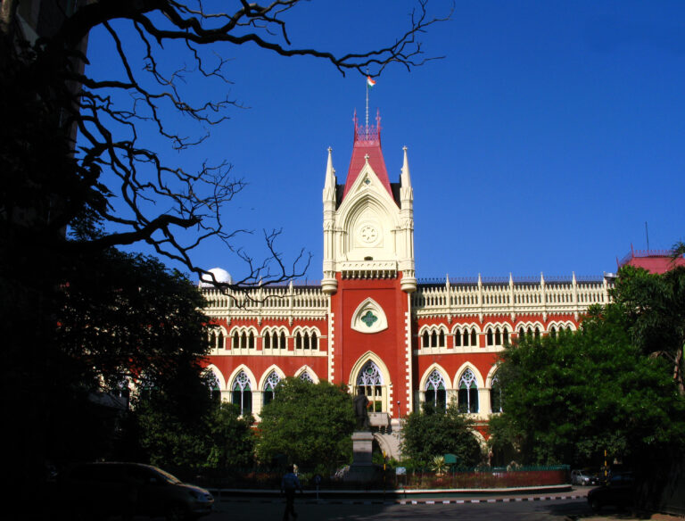 AI Deepfakes and Regulation in India : A Study